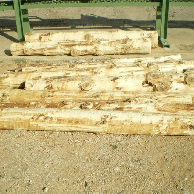 Tronzadora de madera