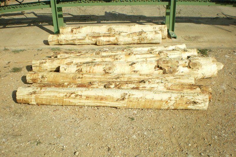 Tronzadora de madera Tronzadora de madera
